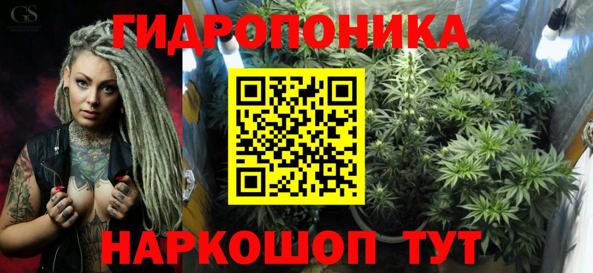 Каннабис план  Конопля сатива  Конопля индика  Москва  Вход с VPN 